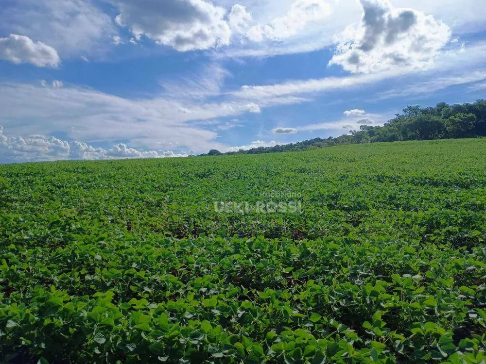 Fazenda, 225 hectares - Foto 4