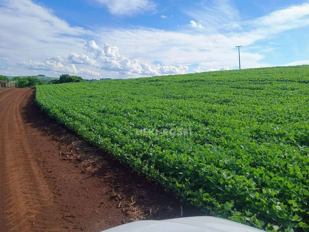 Fazenda, 225 hectares - Foto 1