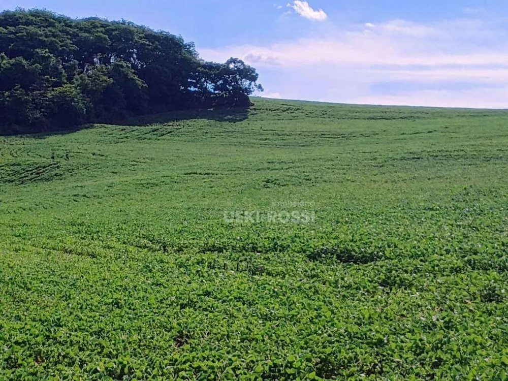Fazenda, 225 hectares - Foto 7