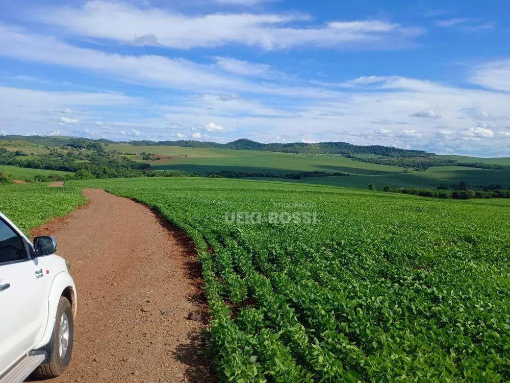 Fazenda, 225 hectares - Foto 6