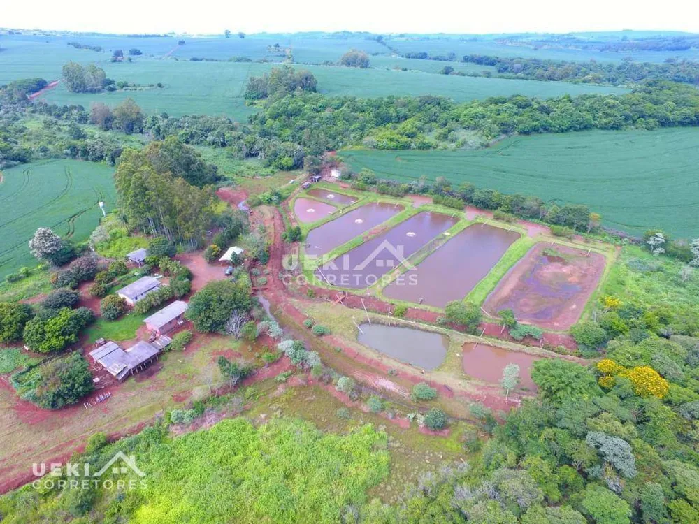 Fazenda, 77 hectares - Foto 8