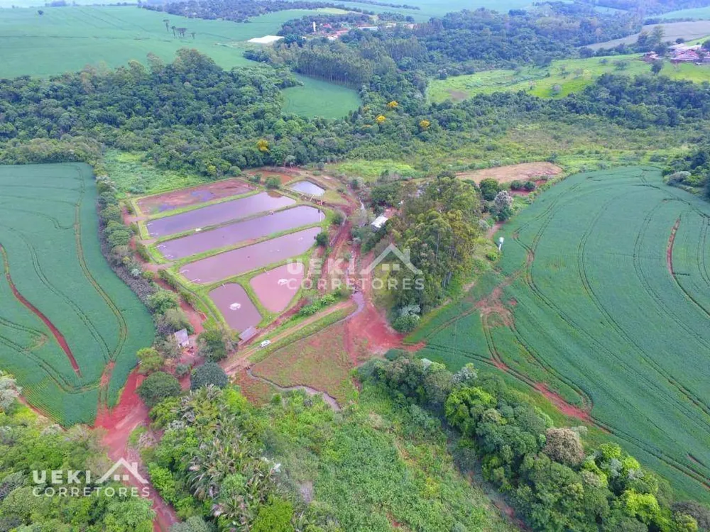 Fazenda, 77 hectares - Foto 7