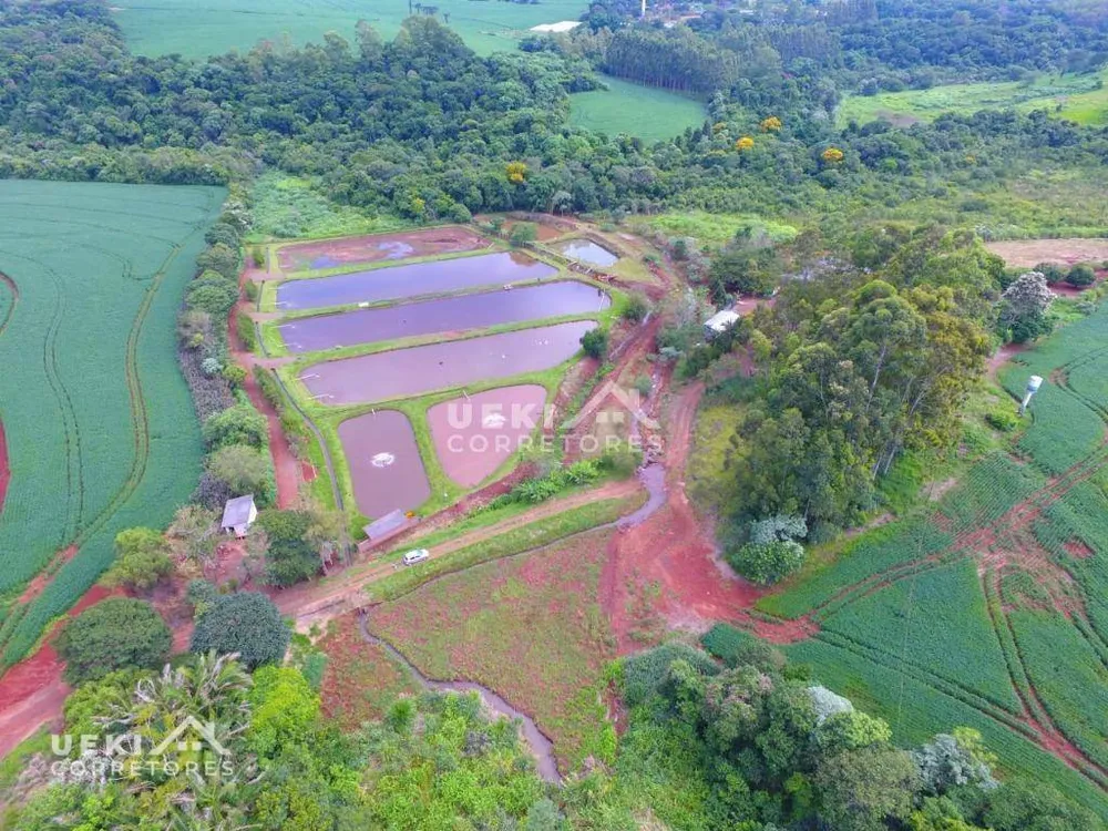 Fazenda, 77 hectares - Foto 9