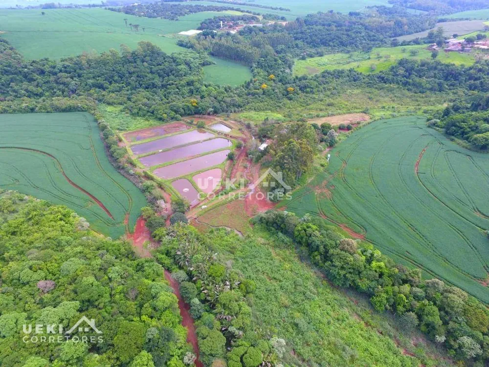 Fazenda, 77 hectares - Foto 4