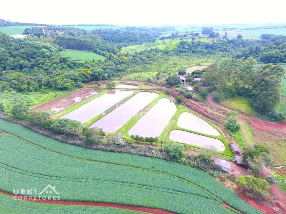 Fazenda, 77 hectares - Foto 3