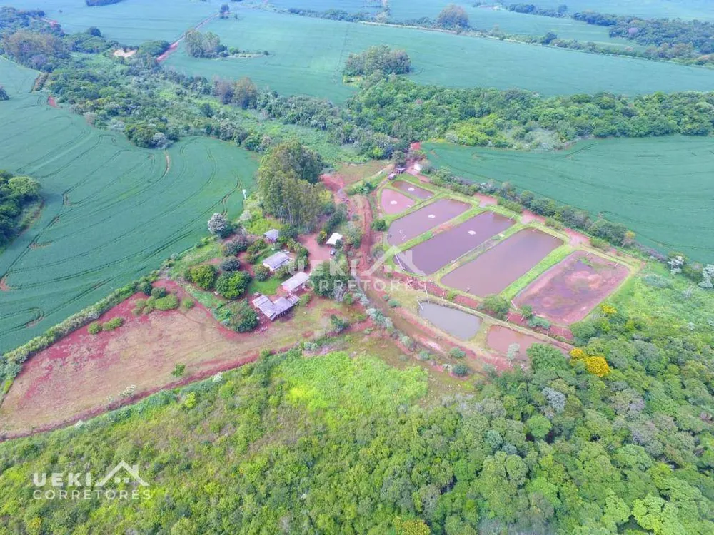 Fazenda, 77 hectares - Foto 10