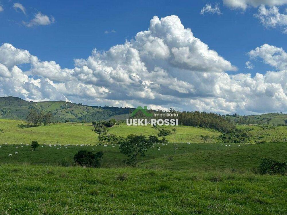 Fazenda, 230 hectares - Foto 9