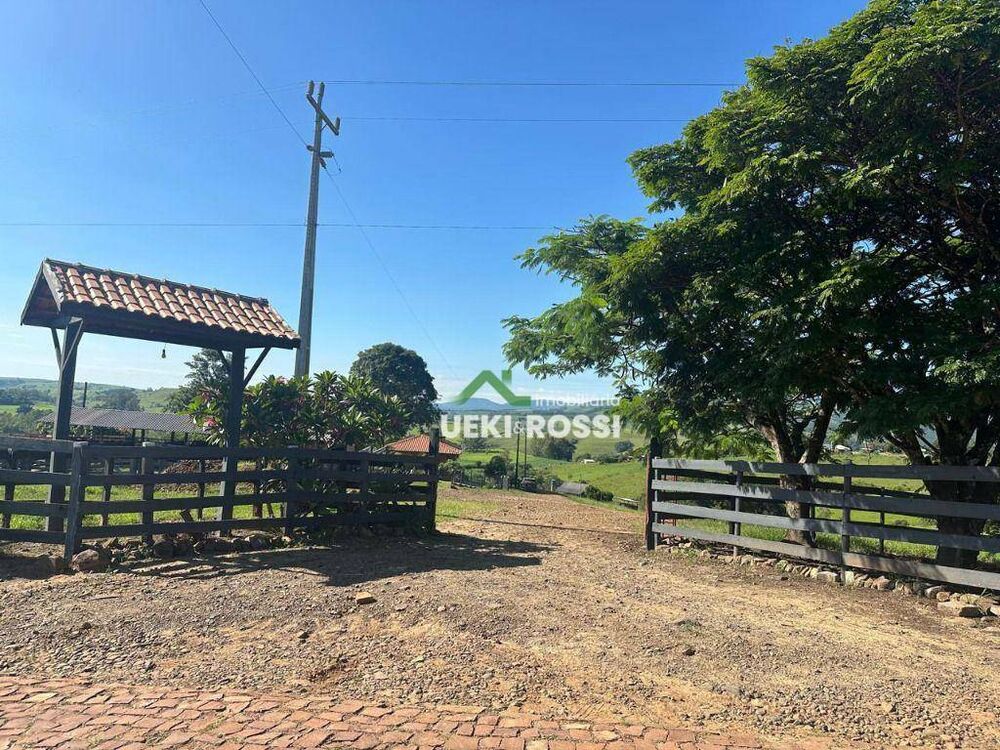 Fazenda, 230 hectares - Foto 8