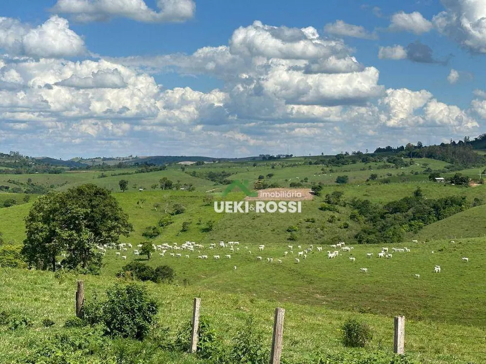 Fazenda, 230 hectares - Foto 9