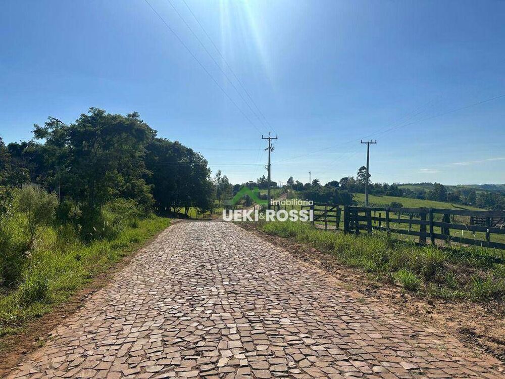 Fazenda, 230 hectares - Foto 5