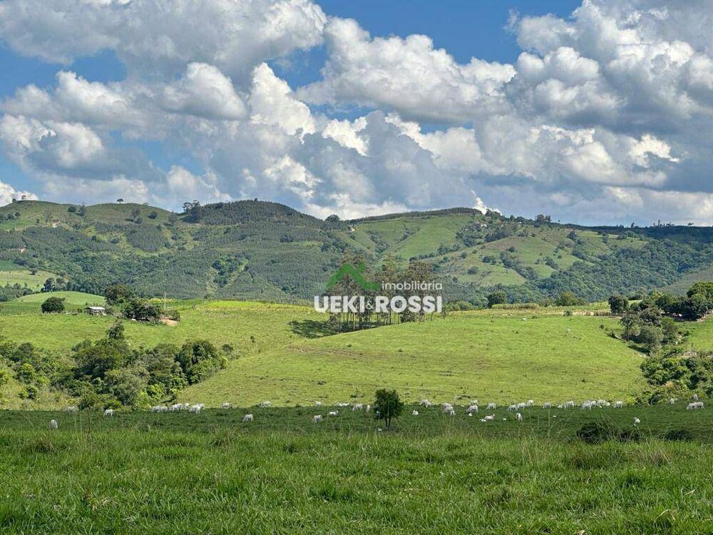 Fazenda, 230 hectares - Foto 6