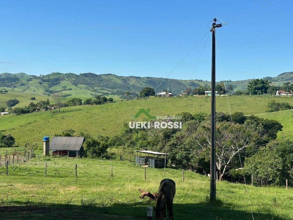 Fazenda, 230 hectares - Foto 10