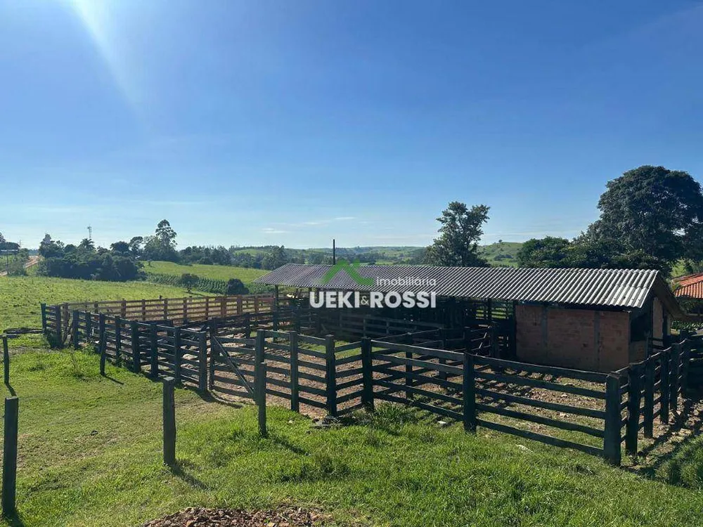 Fazenda, 230 hectares - Foto 10