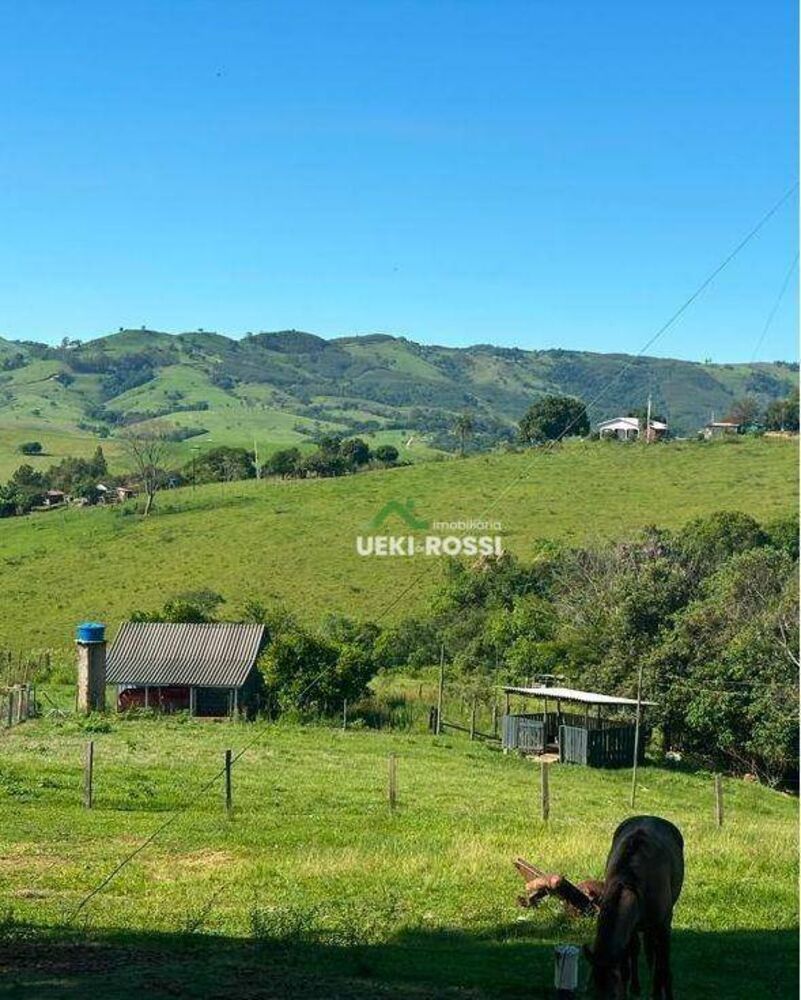 Fazenda, 230 hectares - Foto 11