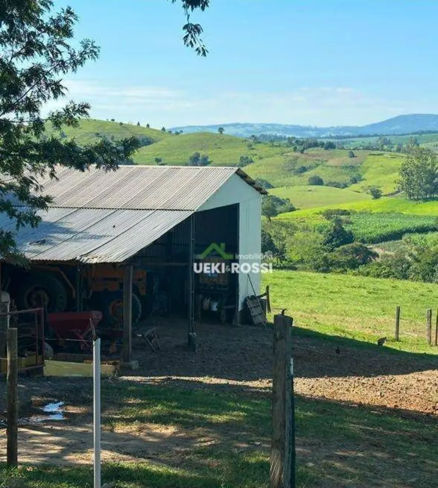 Fazenda, 230 hectares - Foto 4
