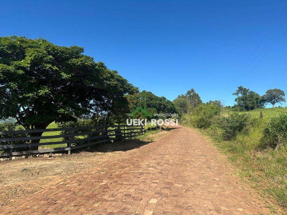 Fazenda, 230 hectares - Foto 12