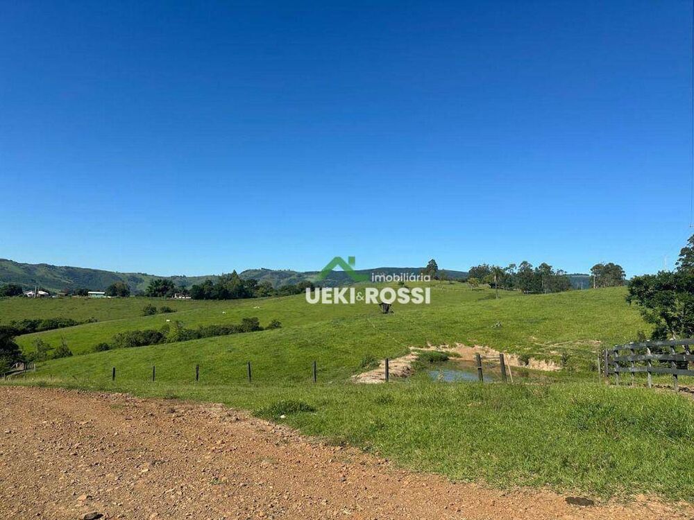Fazenda, 230 hectares - Foto 4