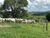Fazenda-Sítio-Chácara, 230 hectares - Foto 1