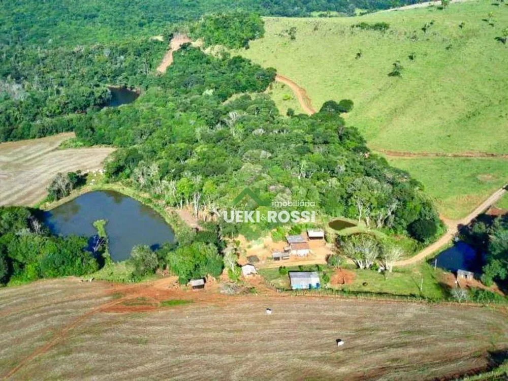 Fazenda, 188 hectares - Foto 6
