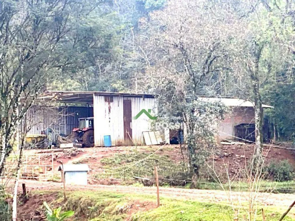 Fazenda, 188 hectares - Foto 11