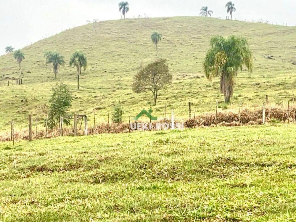 Fazenda, 188 hectares - Foto 8