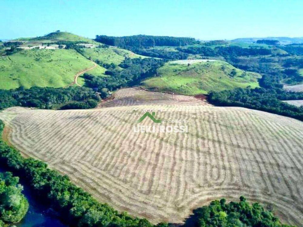 Fazenda, 188 hectares - Foto 1