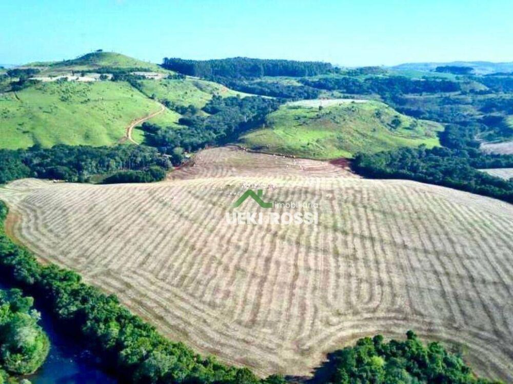 Fazenda, 188 hectares - Foto 4