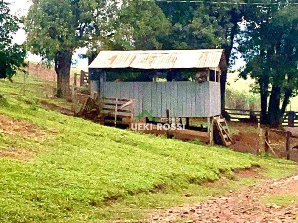 Fazenda, 188 hectares - Foto 12