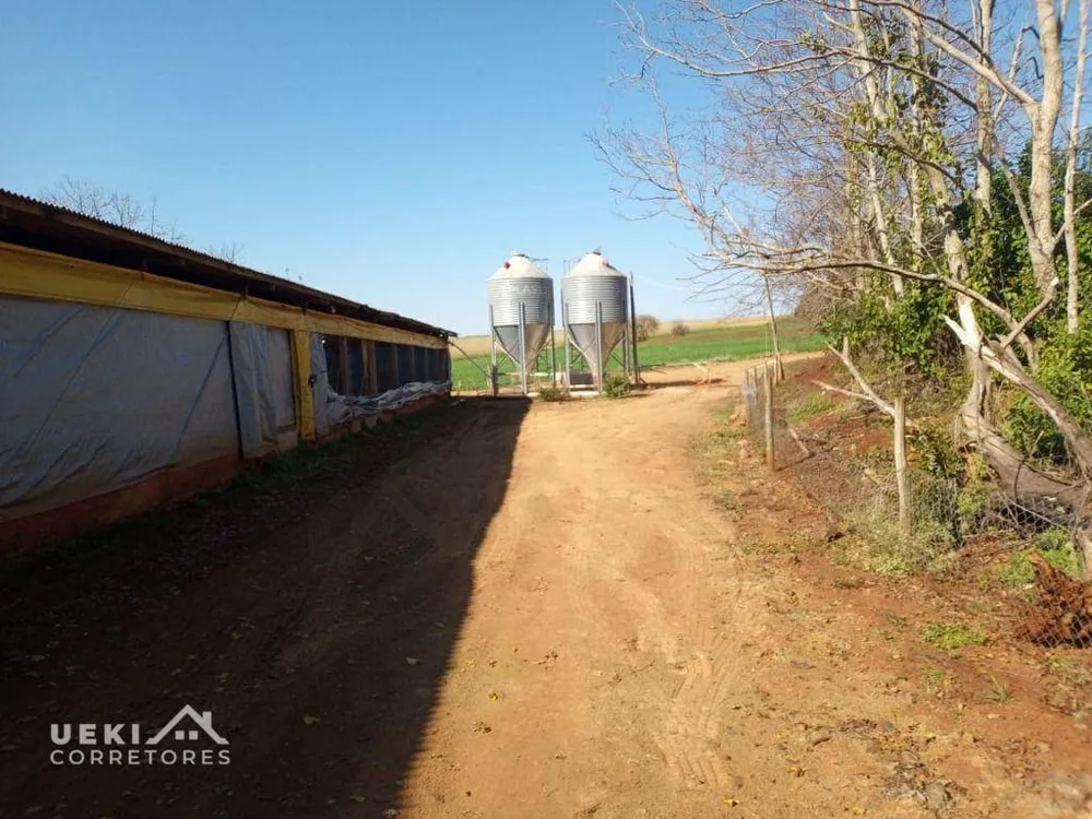 Sítio, 6 hectares - Foto 1
