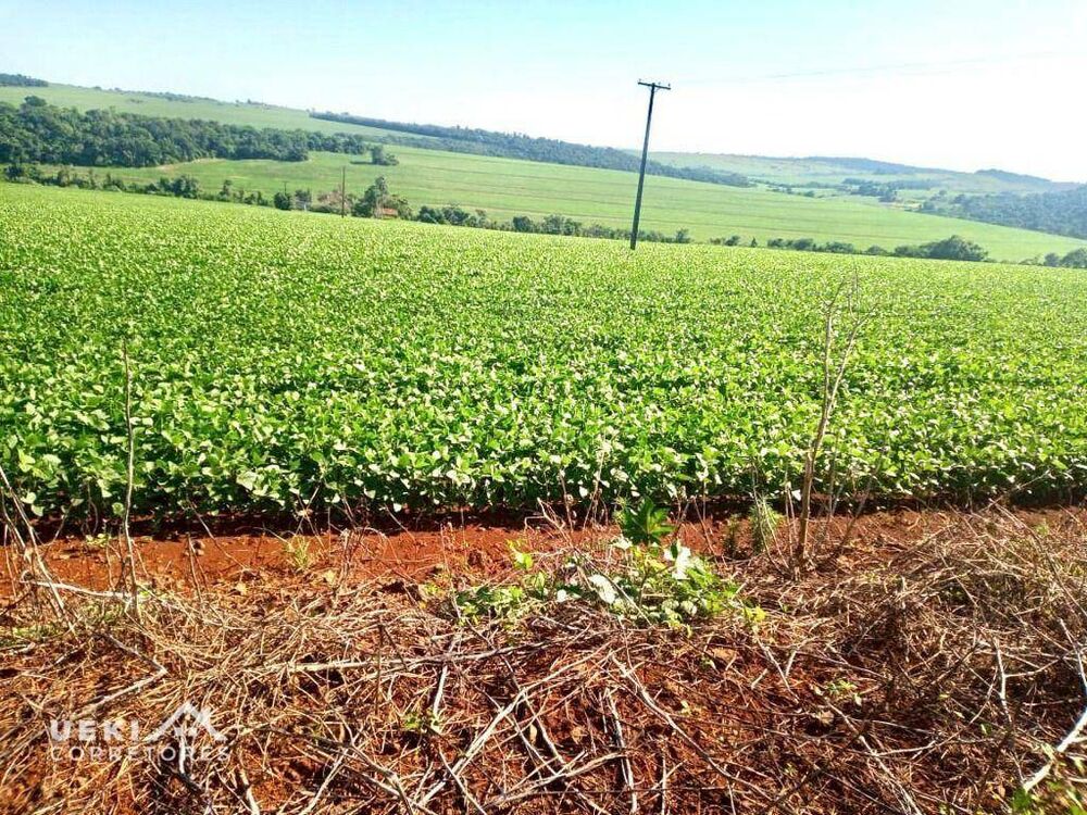 Fazenda, 31 hectares - Foto 1