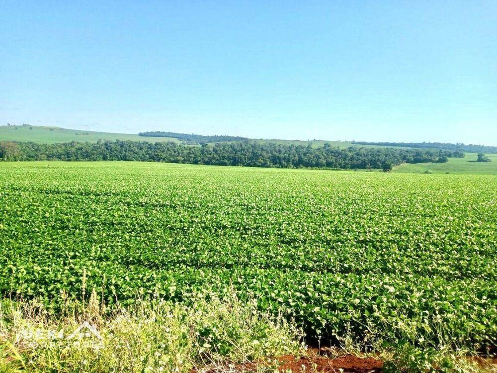 Fazenda, 31 hectares - Foto 3