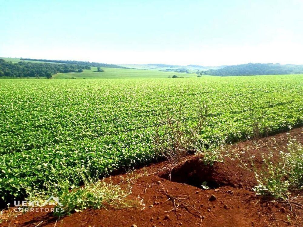 Fazenda, 31 hectares - Foto 5
