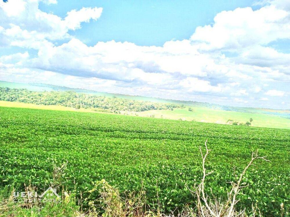Fazenda, 31 hectares - Foto 2