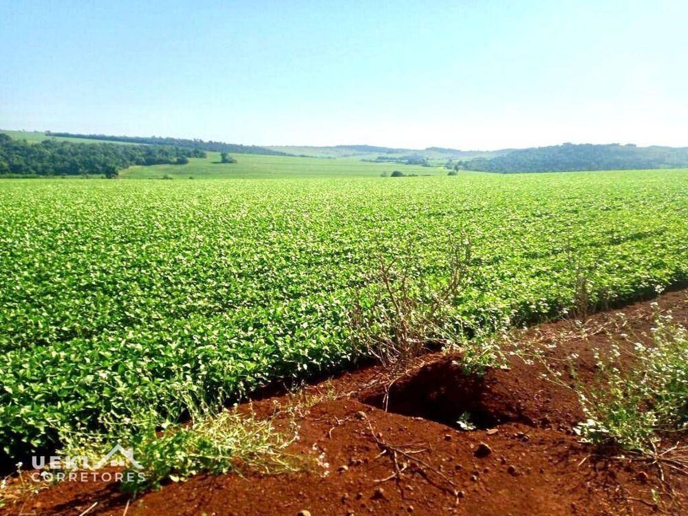 Fazenda, 31 hectares - Foto 4