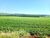Fazenda-Sítio-Chácara, 31 hectares - Foto 1