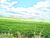 Fazenda-Sítio-Chácara, 31 hectares - Foto 4