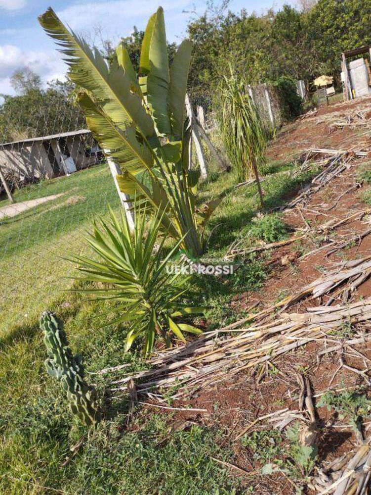 Terreno, 1000 m² - Foto 11