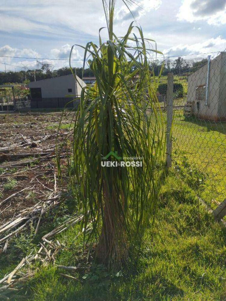 Terreno, 1000 m² - Foto 7