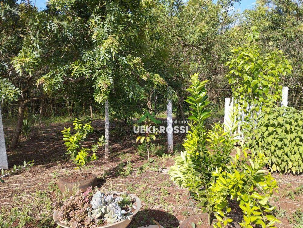 Terreno, 1000 m² - Foto 5