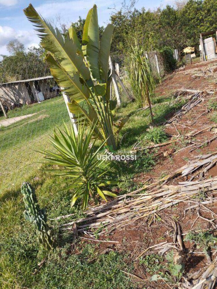 Terreno, 1000 m² - Foto 8