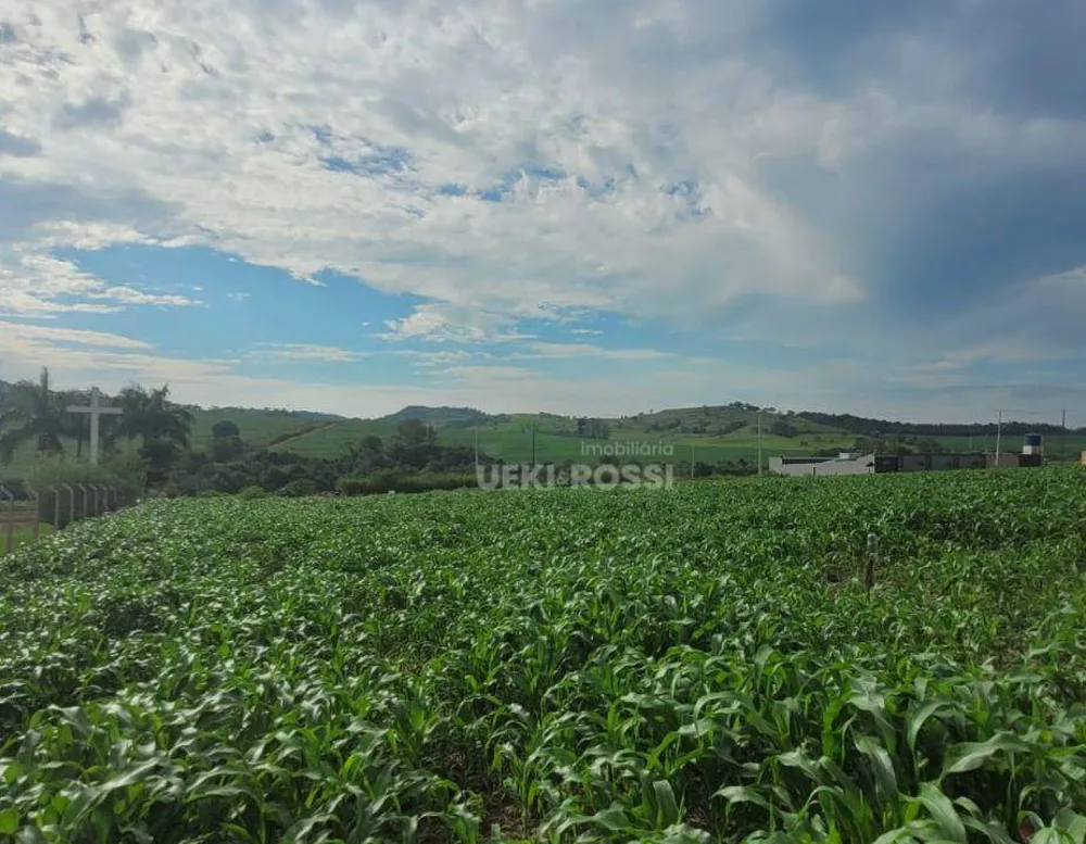 Chácara, 2000 m² - Foto 2