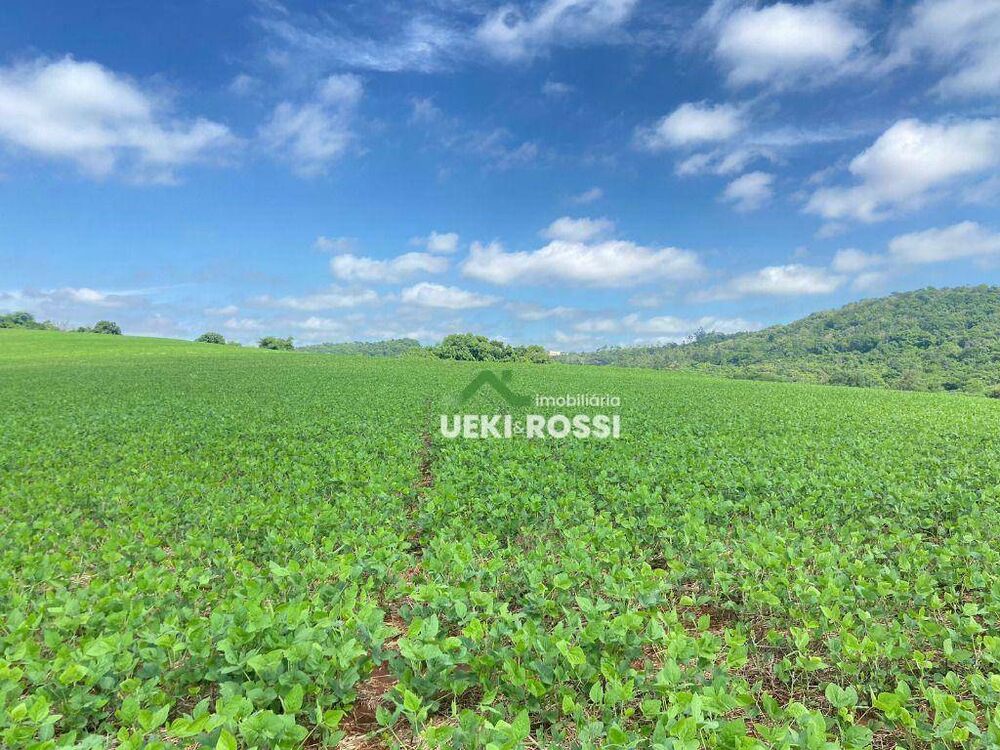 Sítio, 17 hectares - Foto 1