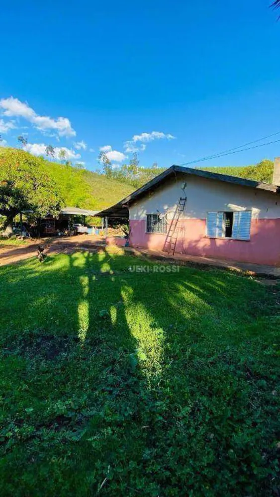 Fazenda, 286 hectares - Foto 3