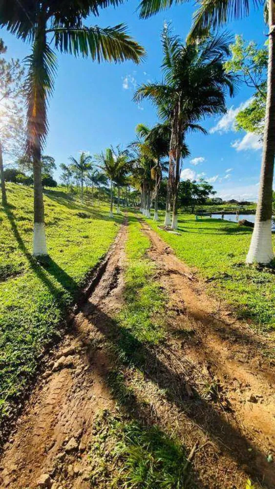 Fazenda, 286 hectares - Foto 2