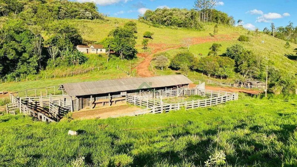 Fazenda, 286 hectares - Foto 2
