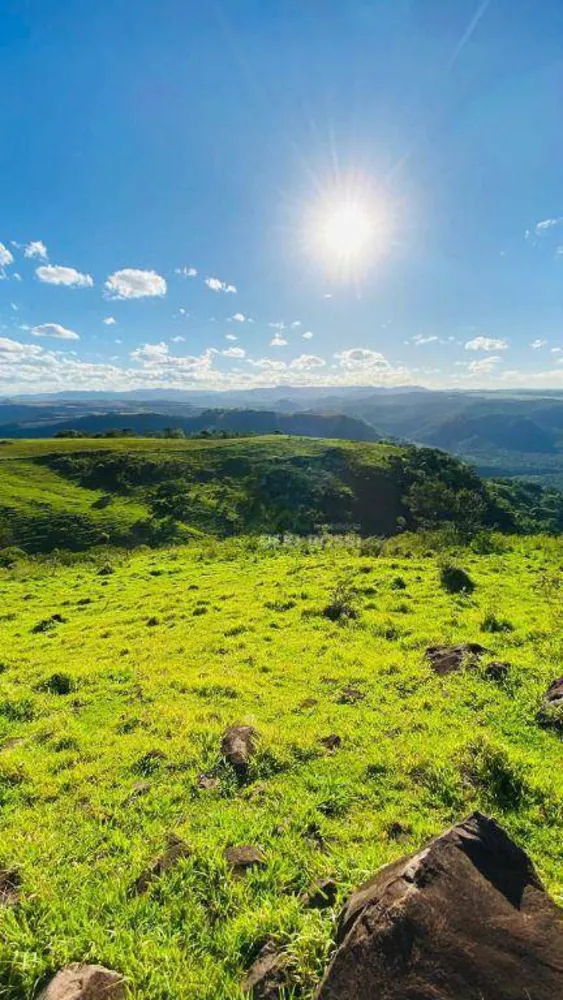 Fazenda, 286 hectares - Foto 7