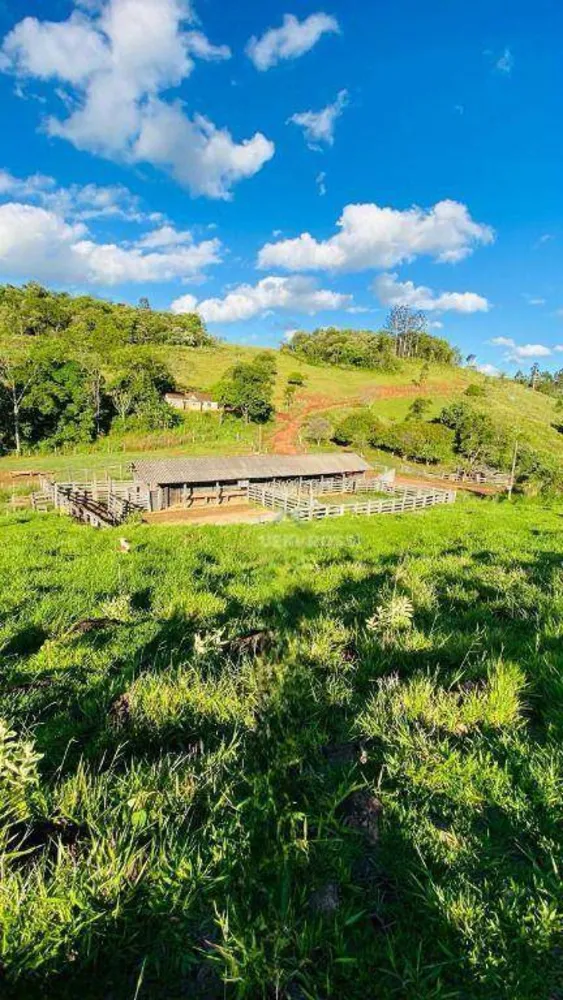 Fazenda, 286 hectares - Foto 9