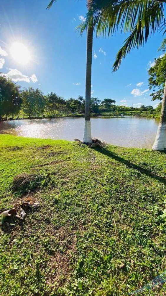 Fazenda, 286 hectares - Foto 3