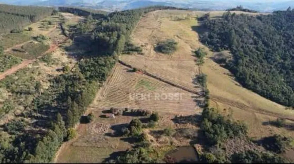 Fazenda, 286 hectares - Foto 1