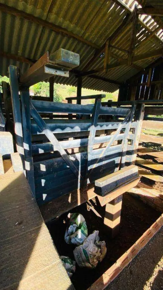 Fazenda, 286 hectares - Foto 4